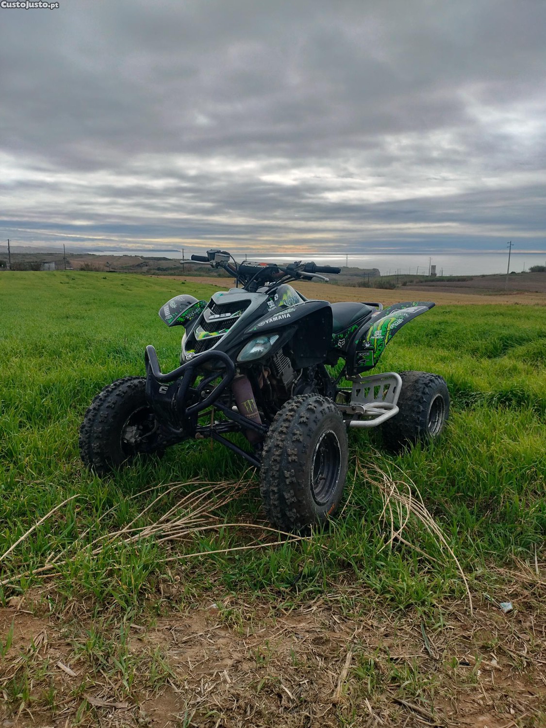 Raptor 660r