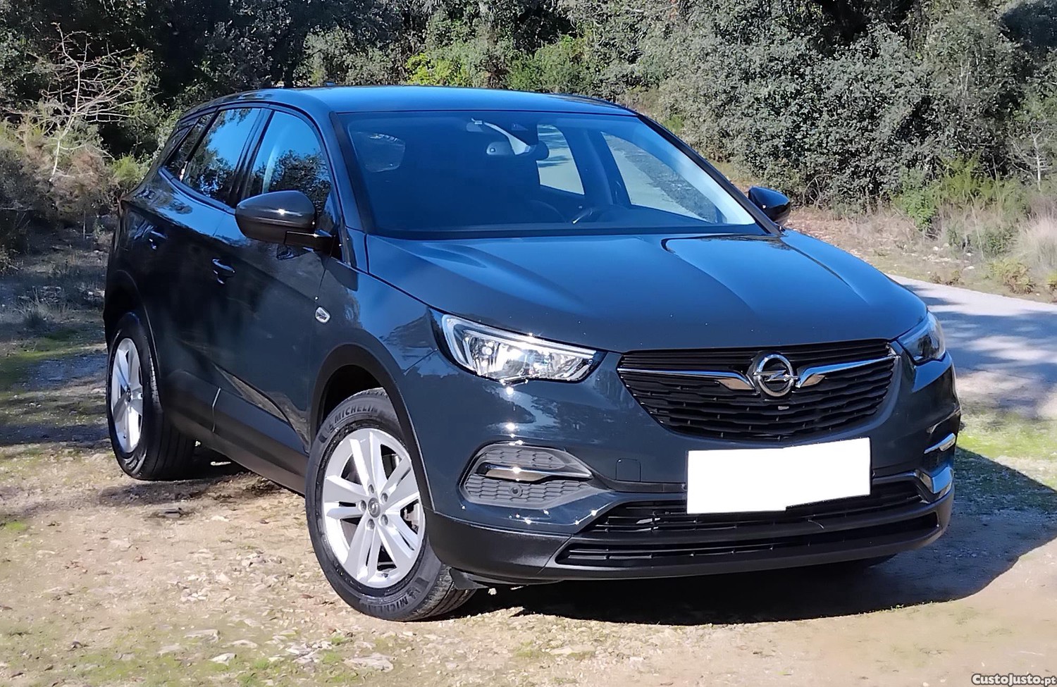 Opel Grandland X Business Edition 1.2 130cv Turbo 2019 — fotografia 6