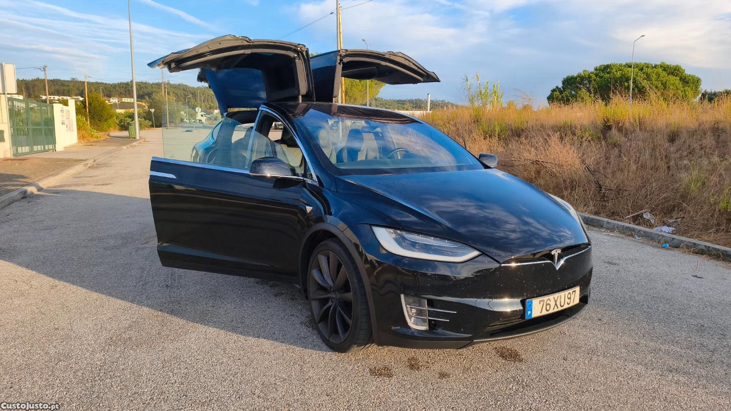 Tesla Model X 100D - 19 — photo 2