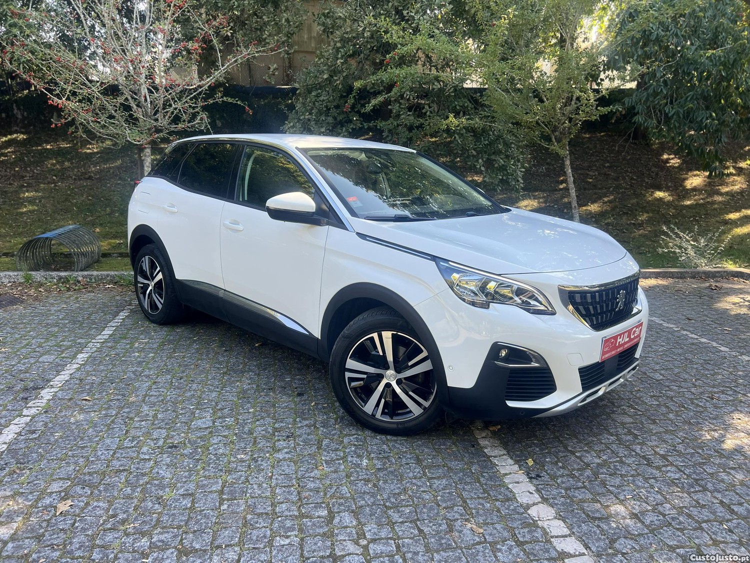 Peugeot 3008 Alurre - 19 — photo 2