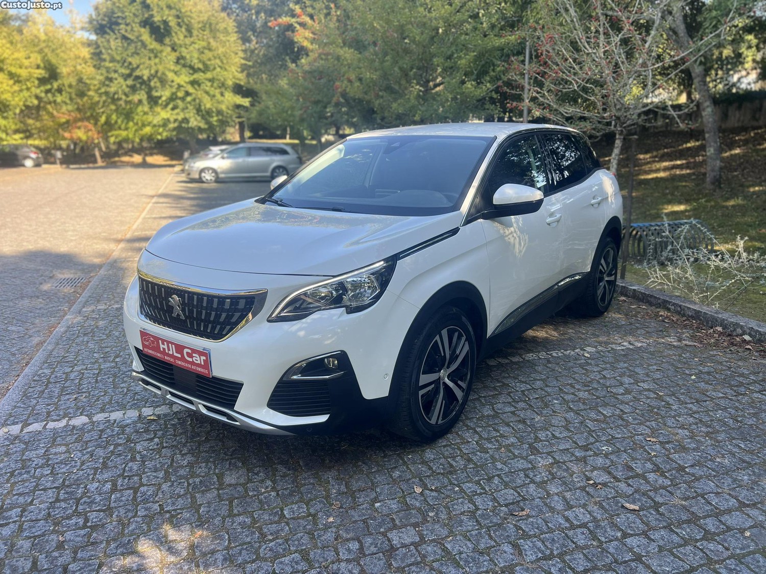 Peugeot 3008 Alurre - 19 — photo 4