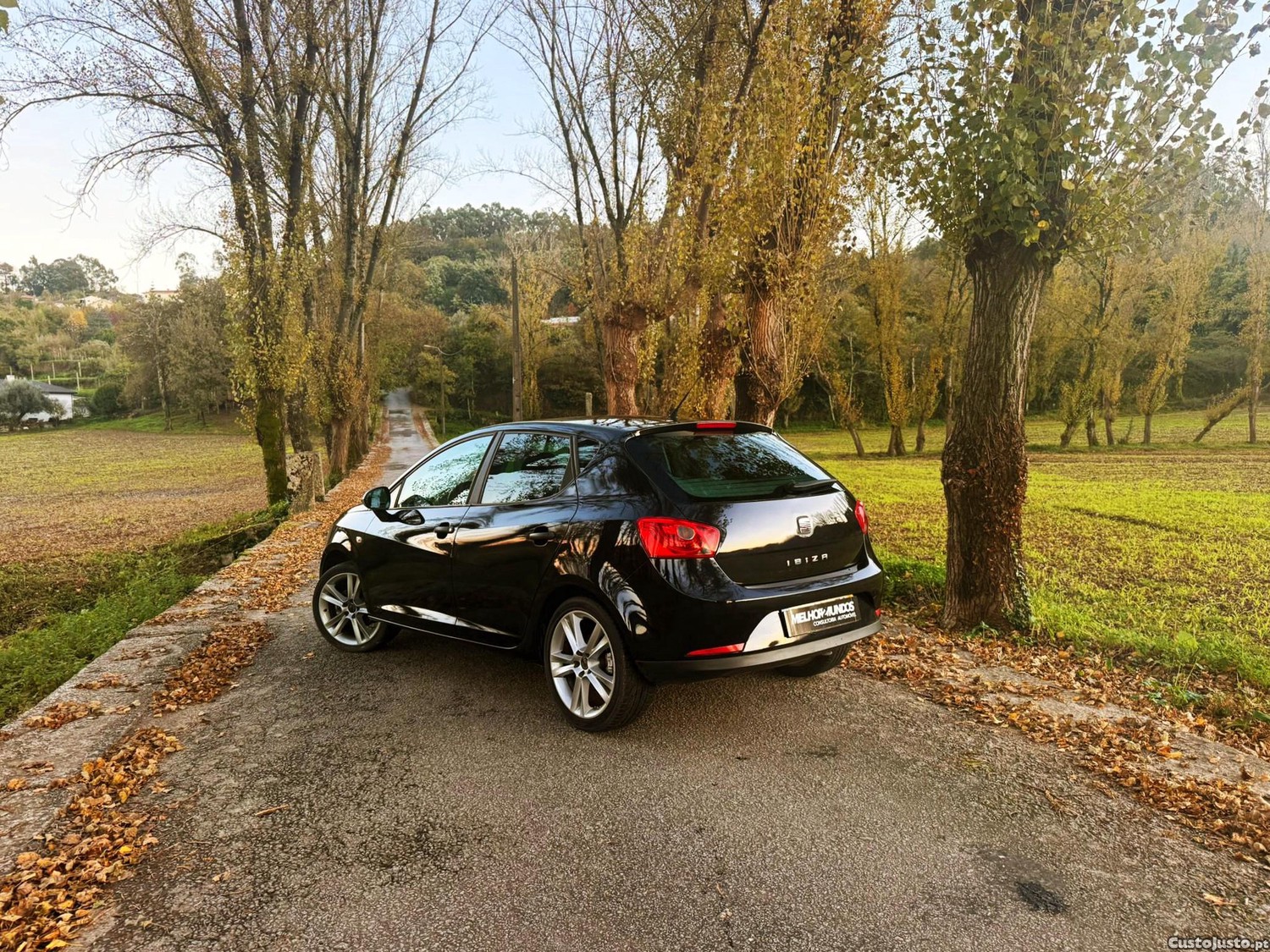 Seat Ibiza 1.6 TDi - 10 foto 2