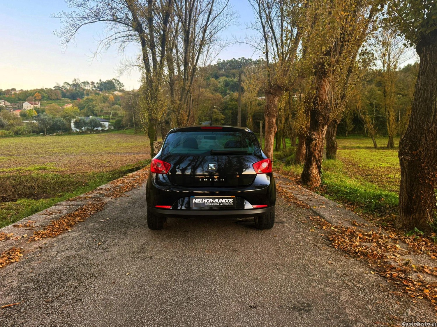 Seat Ibiza 1.6 TDi - 10 foto 3
