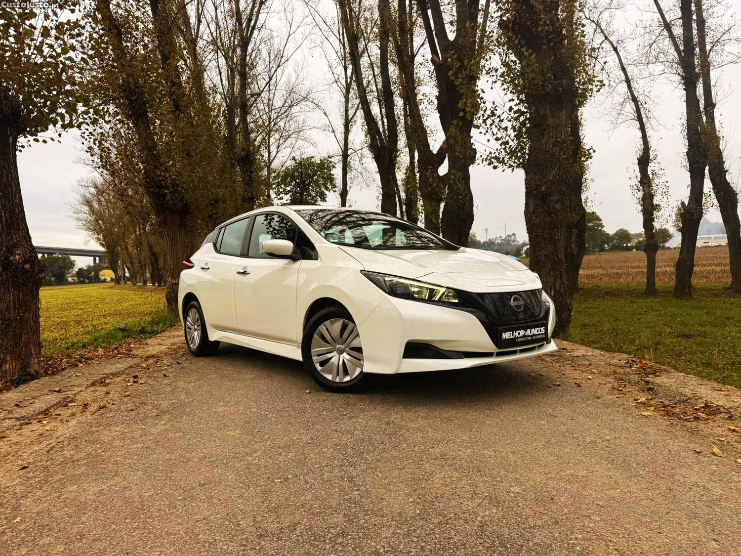 Nissan Leaf ZE Drive — fotografia 14
