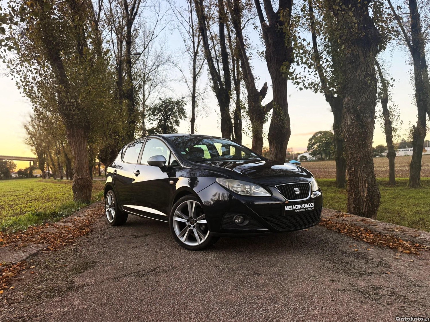 Seat Ibiza 1.6 TDi - 10 foto 5