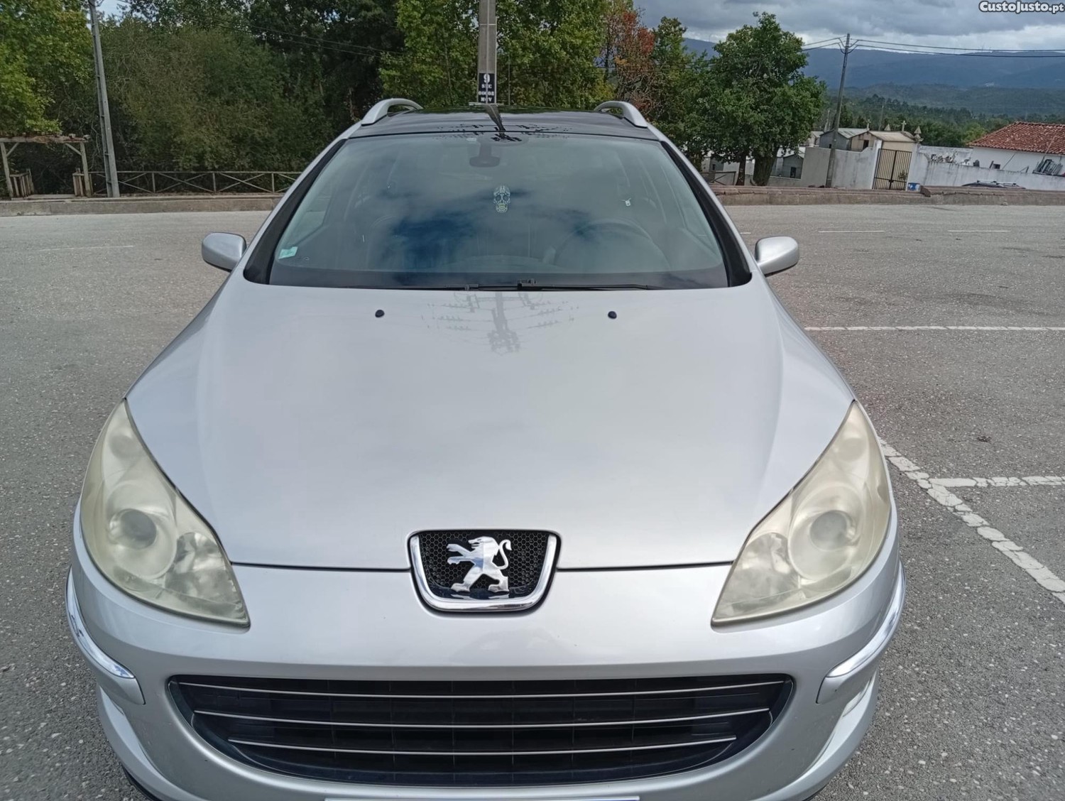 Peugeot 407 SW Executive - 08 foto 3