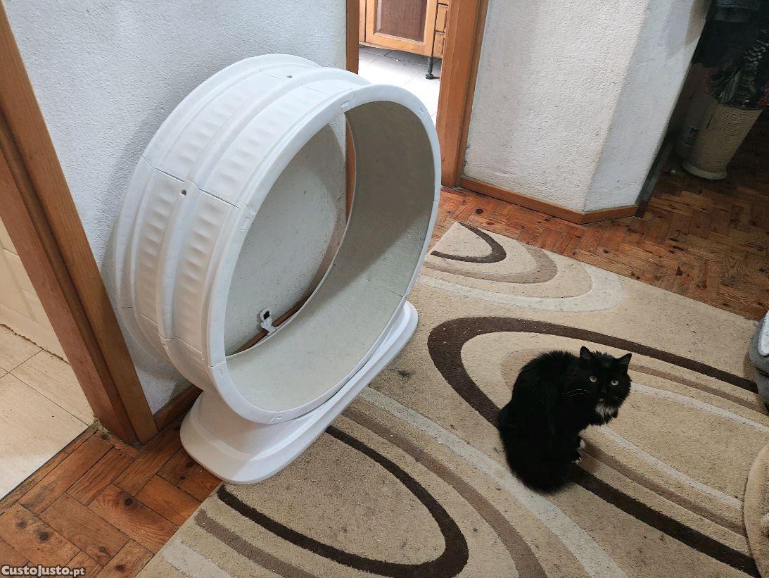 Roda de exercício para animais estimação