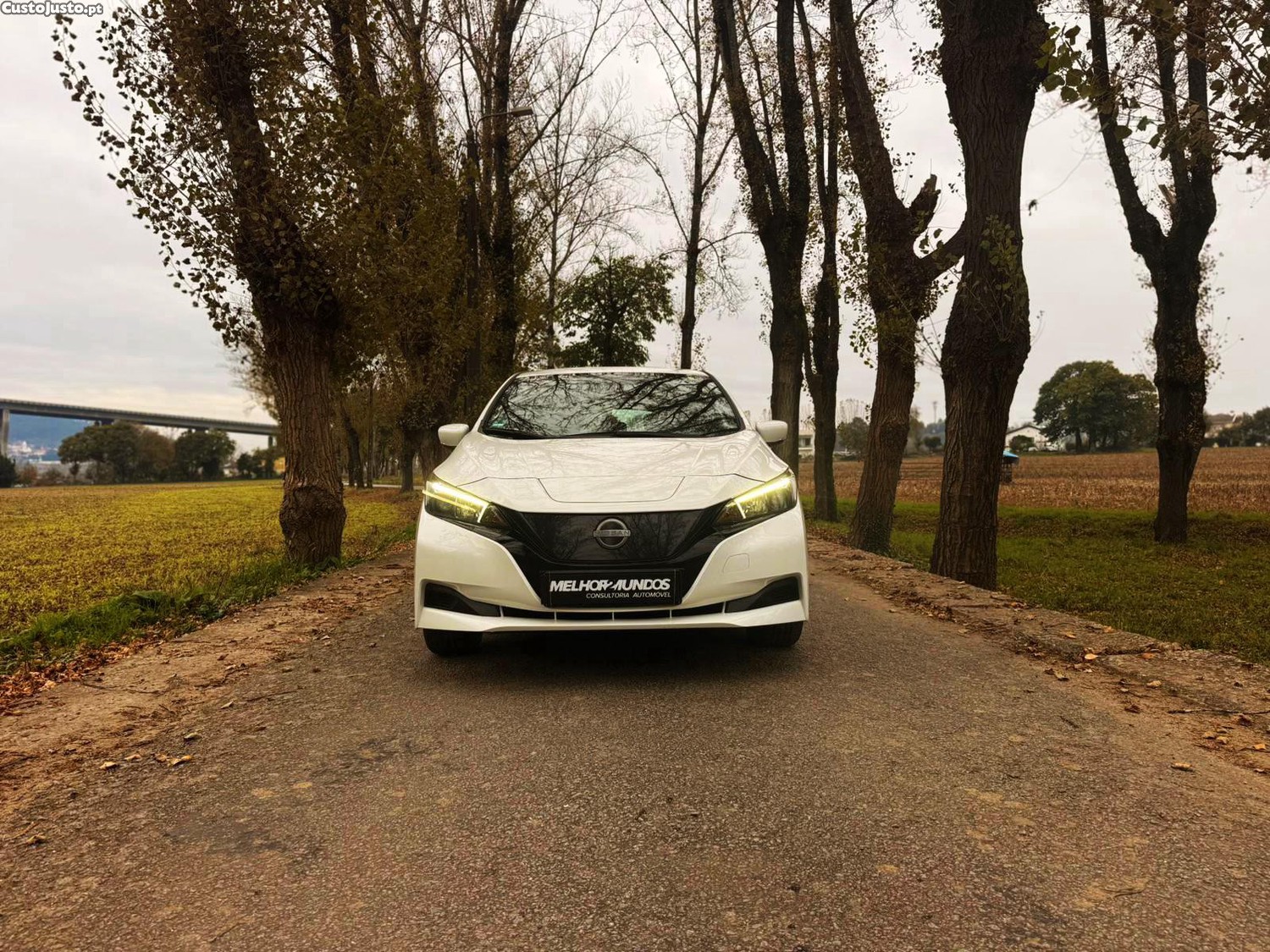 Nissan Leaf ZE Drive — fotografia 13