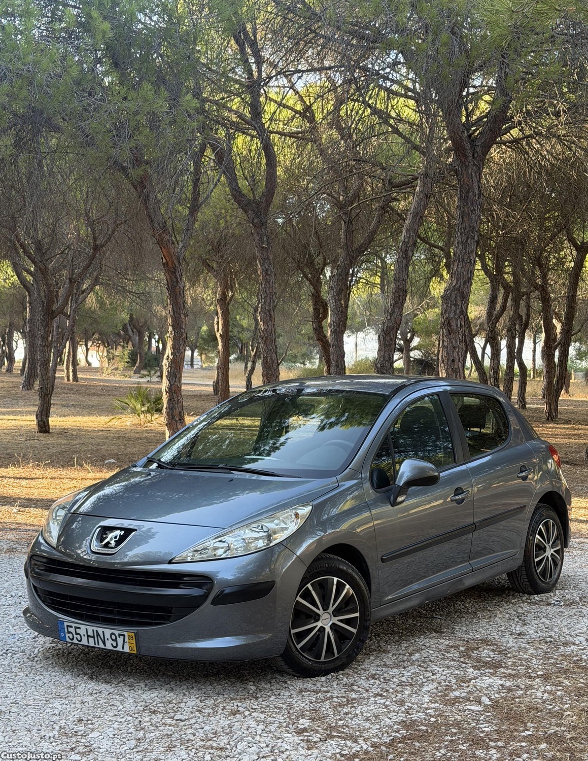 Peugeot 207 1.4i 90cv - 10 foto 2