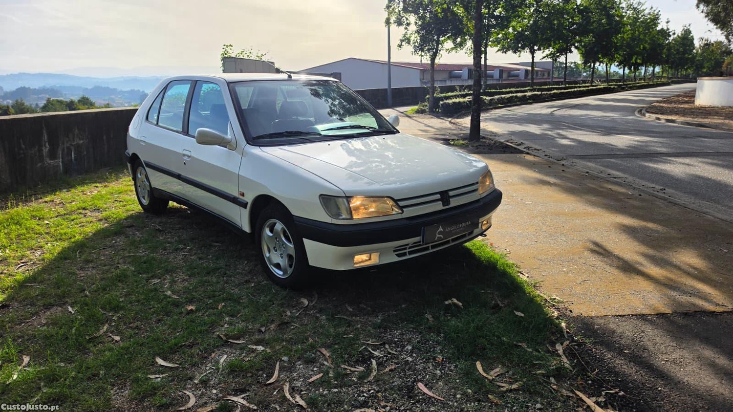 Peugeot 306 XT 1.6cc 90cv - 93 foto 2