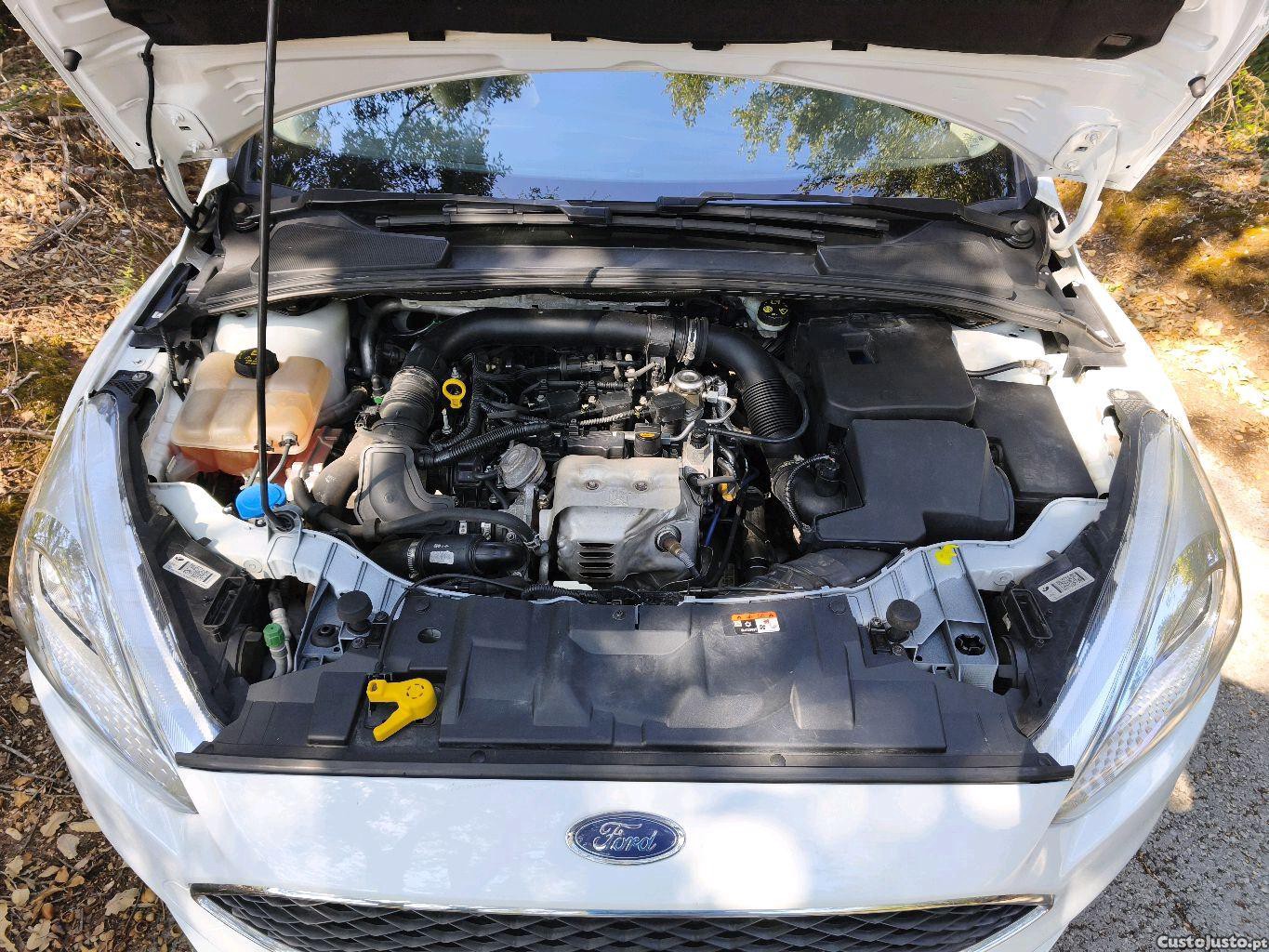 Ford Focus sw — fotografia 2