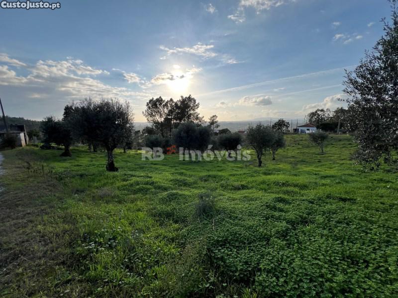 Terreno Com Pdm Com 14240 M2 - Tomar