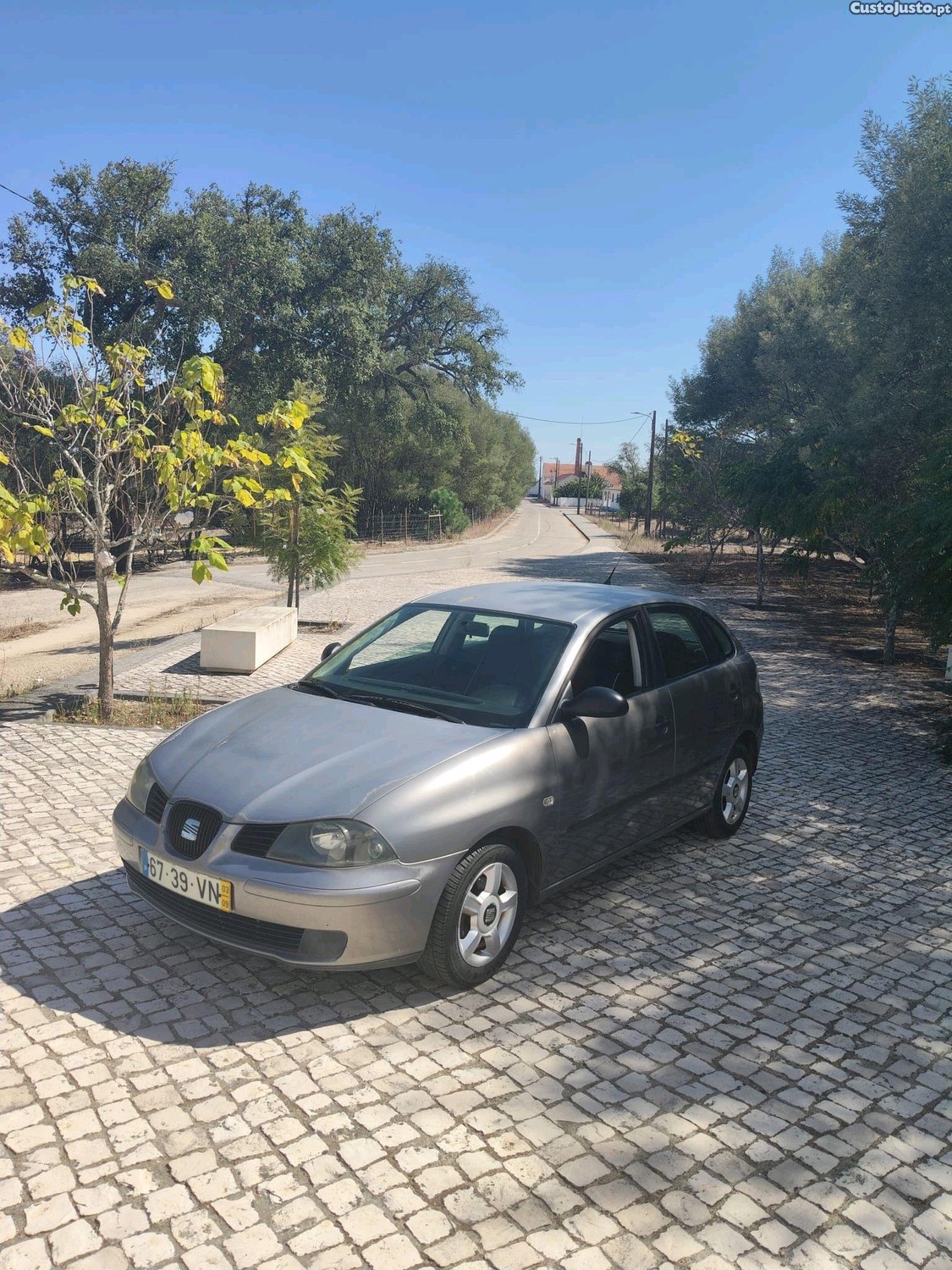 Seat Ibiza 6L - 03 foto 2
