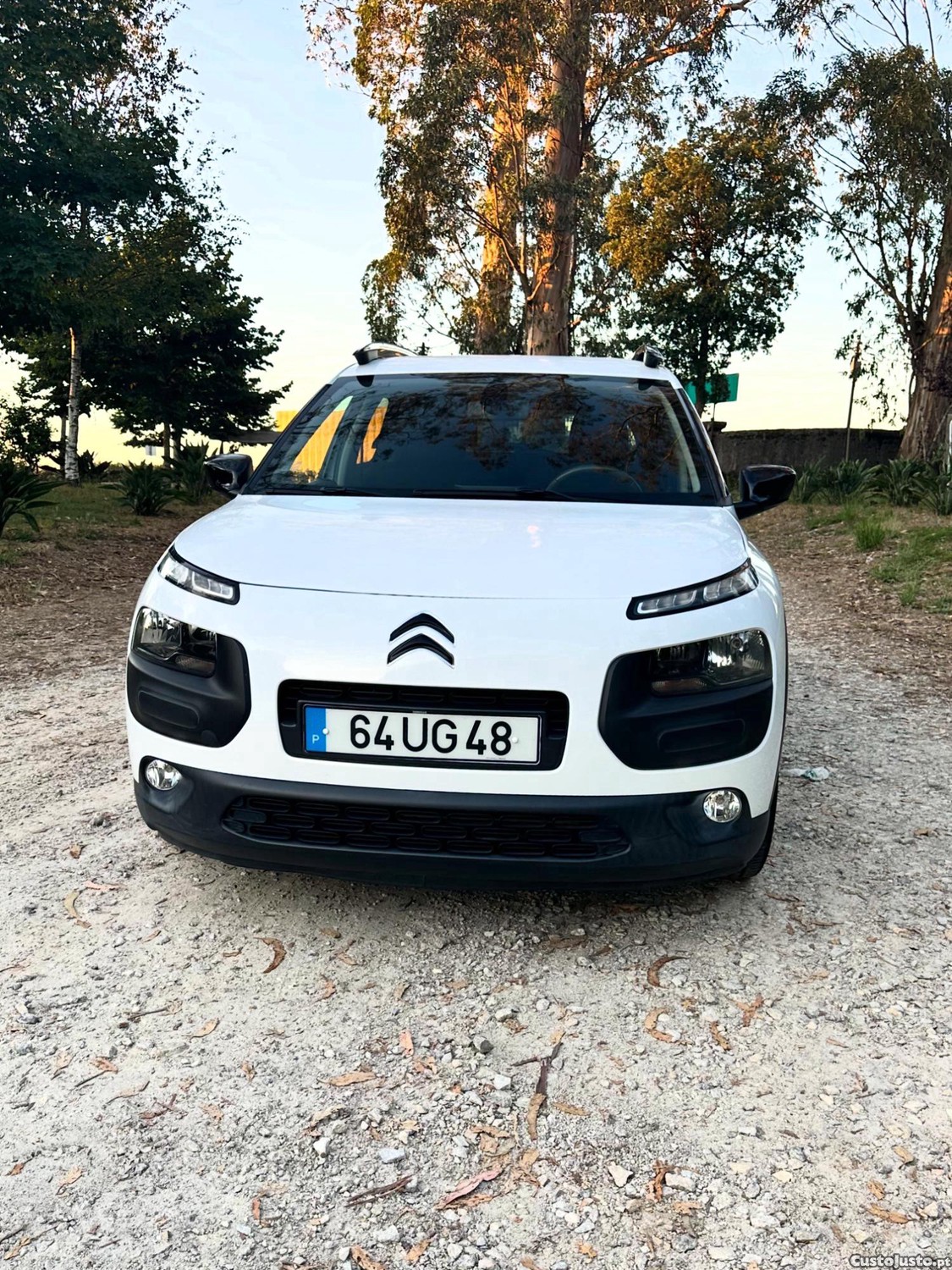Citroën C4 Cactus — fotografia 6
