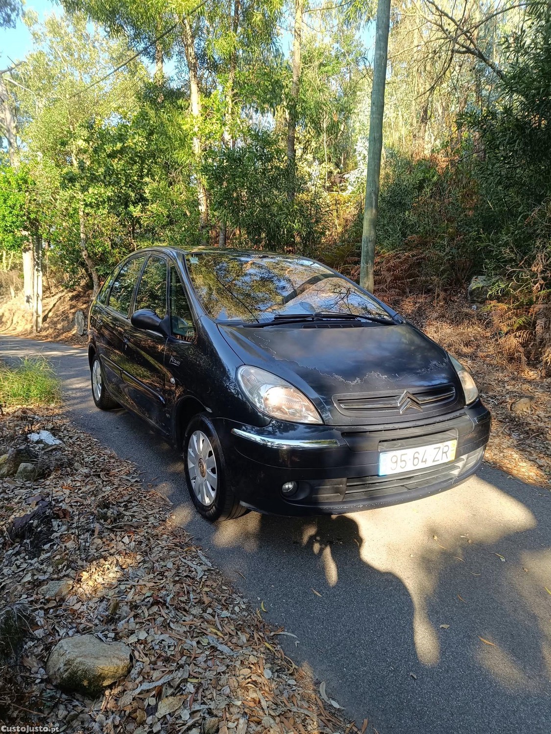 Citroën C4 Picasso 1.6 HDI - 05 foto 2