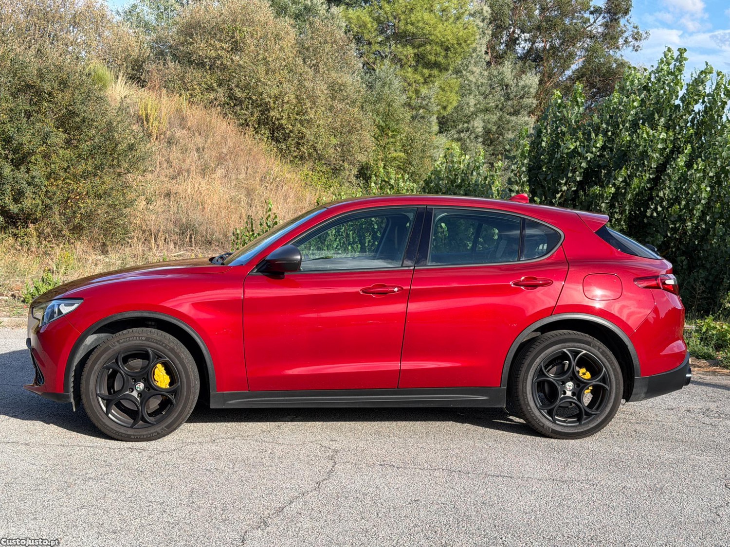 Alfa Romeo Stelvio 2.2 Q4 - 210cv Executive - 17 — photo 5