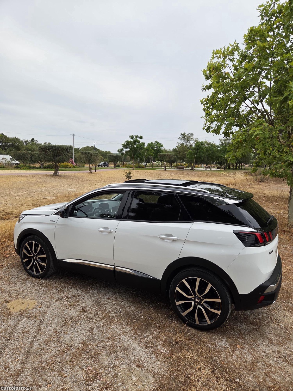 Peugeot 3008 Gt Line - 17 foto 5