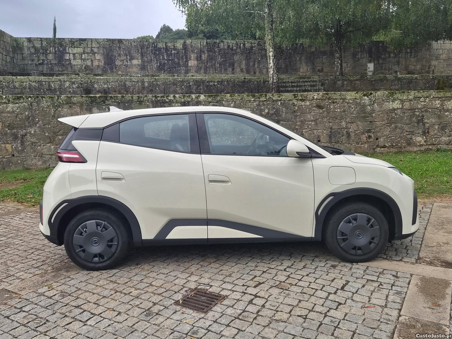 BYD Dolphin Surf - 25 — photo 3