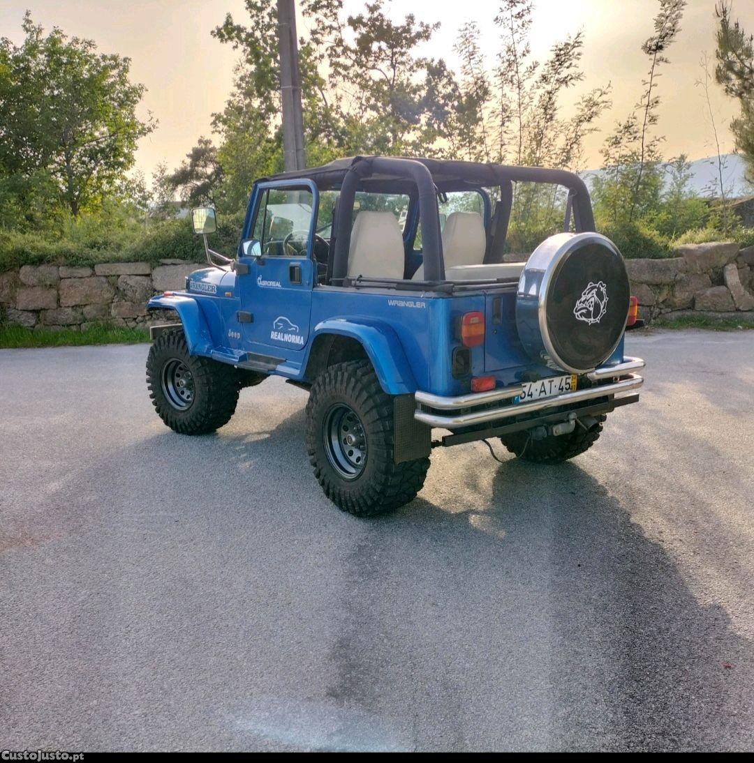 Jeep Wrangler 2.5 cabrio Estimado! - 95 — photo 4