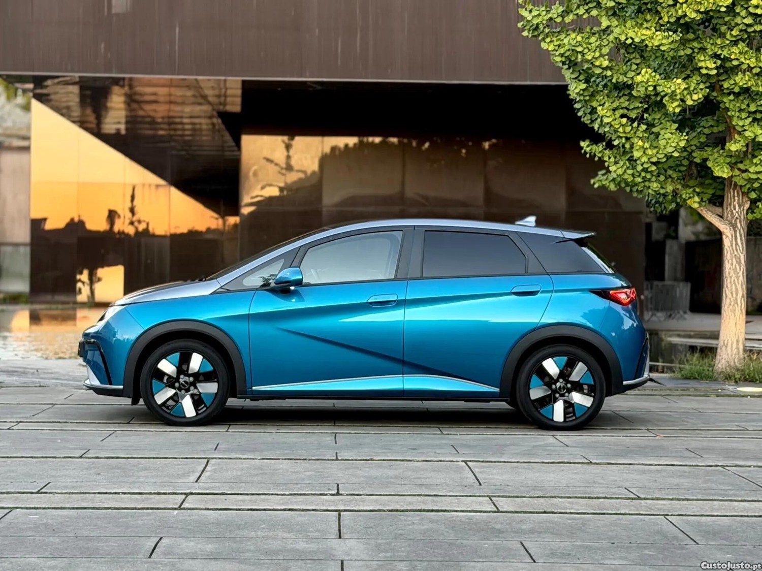 BYD Dolphin Design — fotografia 4