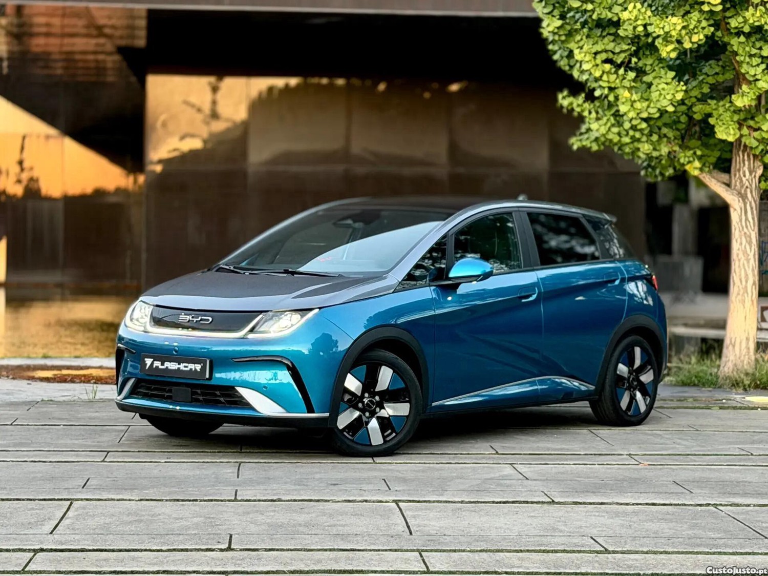 BYD Dolphin Design — fotografia 3
