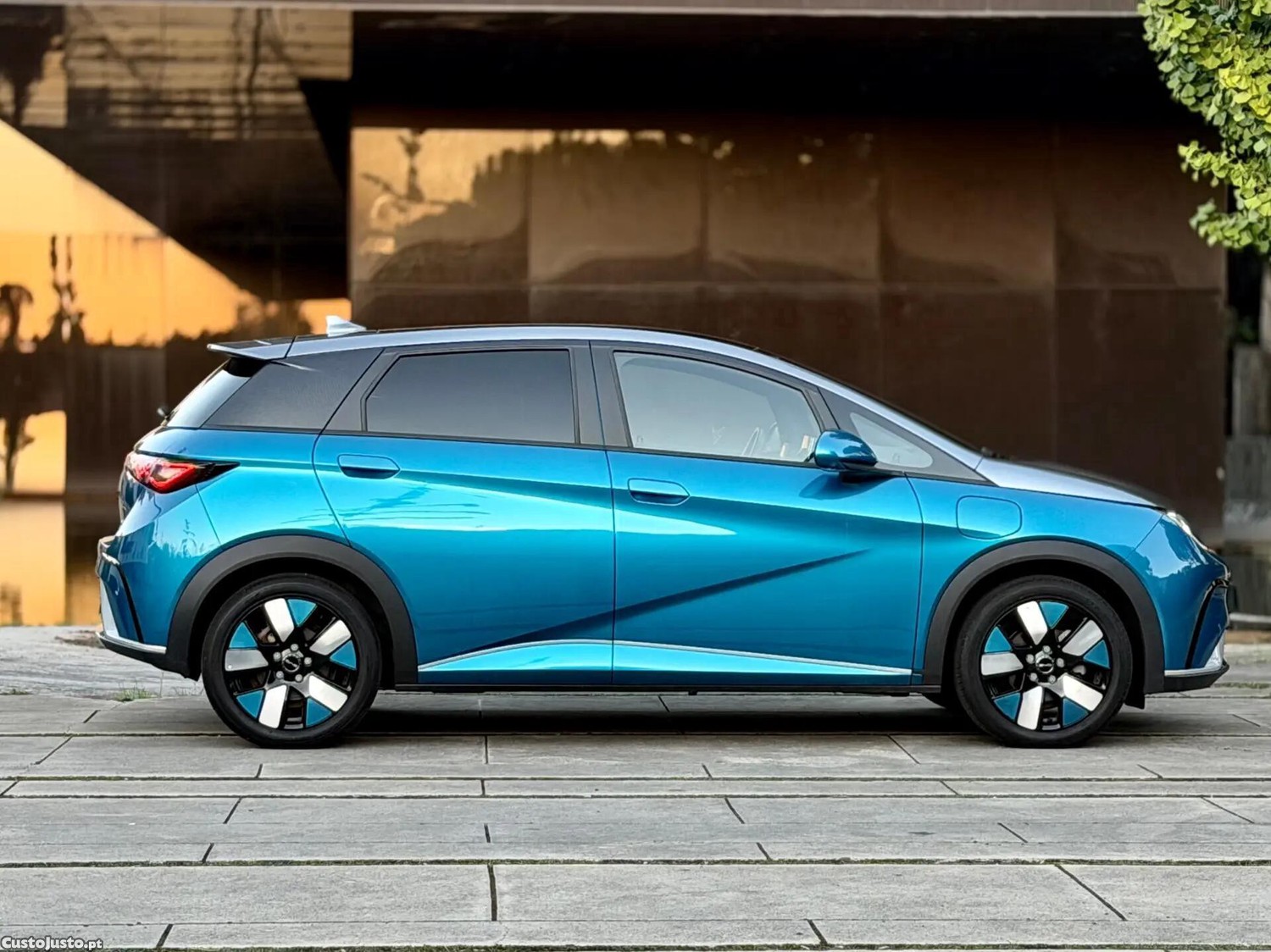 BYD Dolphin Design — fotografia 13