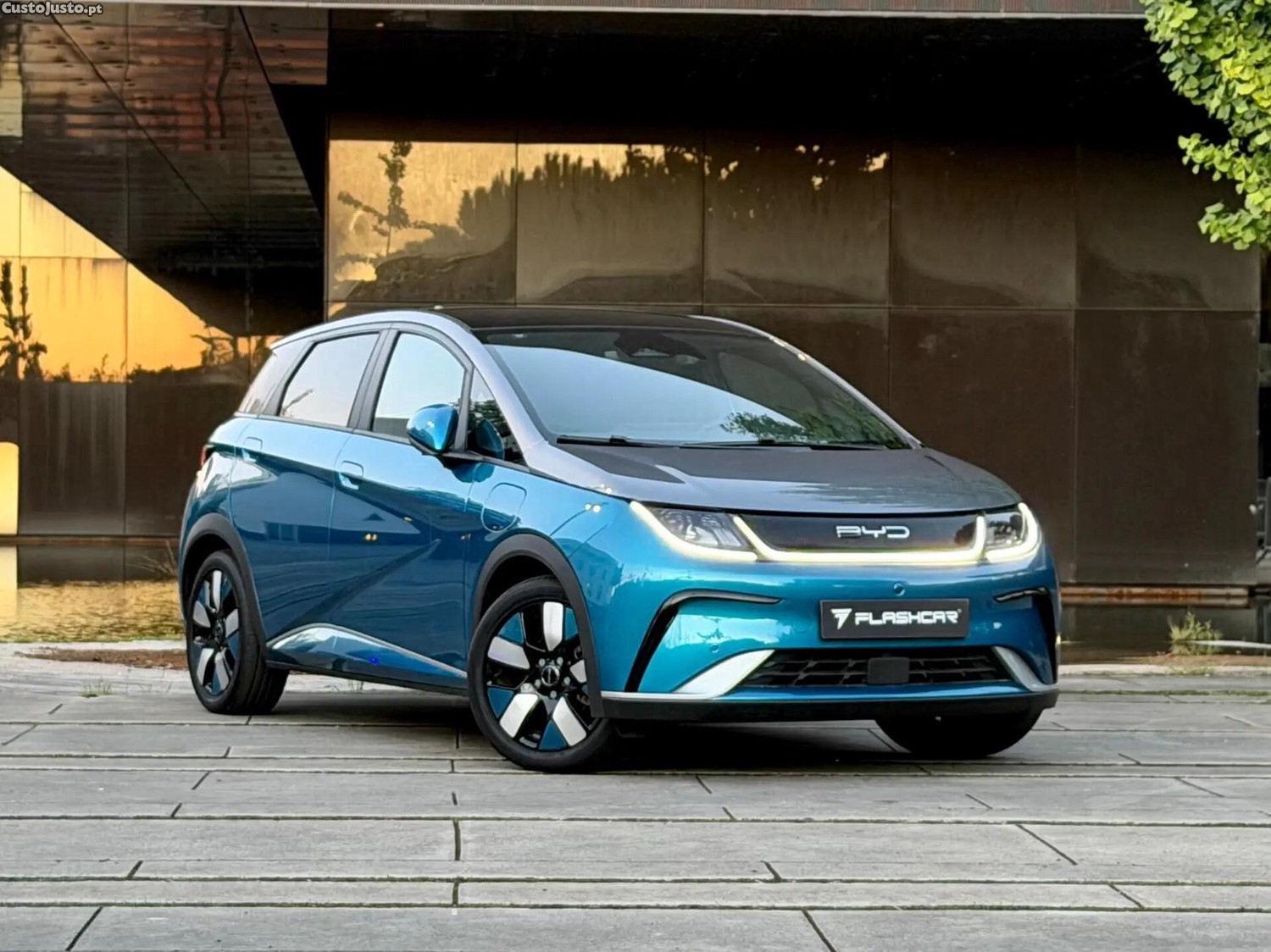 BYD Dolphin Design — fotografia 19
