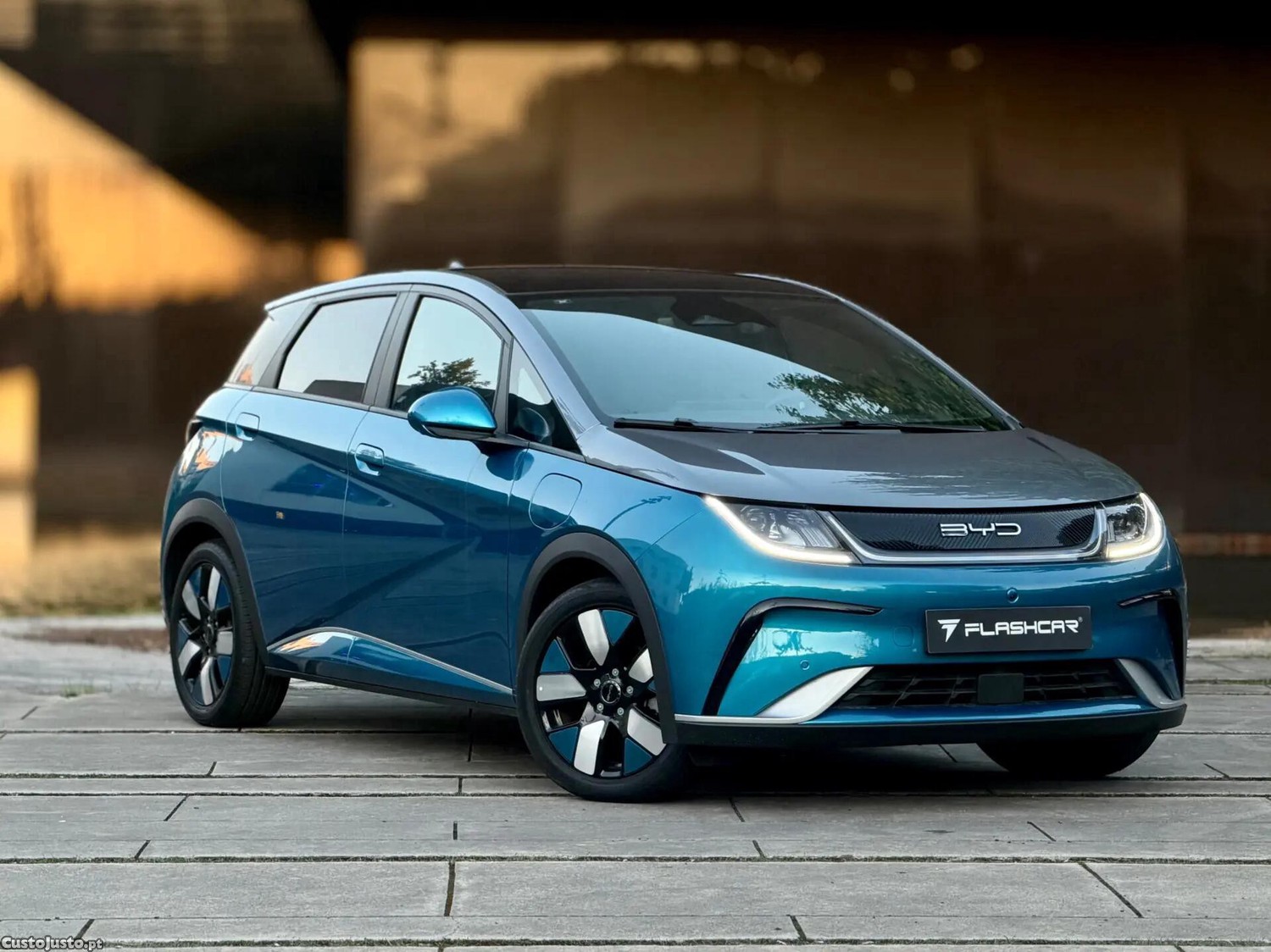 BYD Dolphin Design — fotografia 14