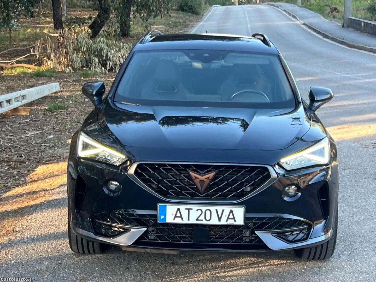 CUPRA Formentor 2.0 tdi - 22 — photo 3