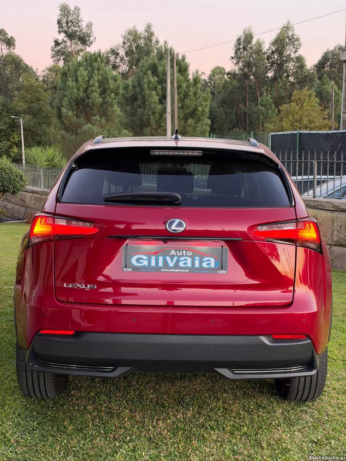 Lexus NX 300h - 17 — photo 5