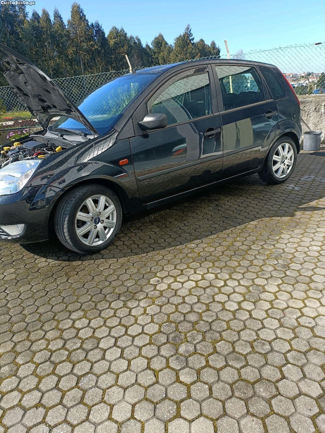 Ford Fiesta 1.4 hdi — fotografia 4