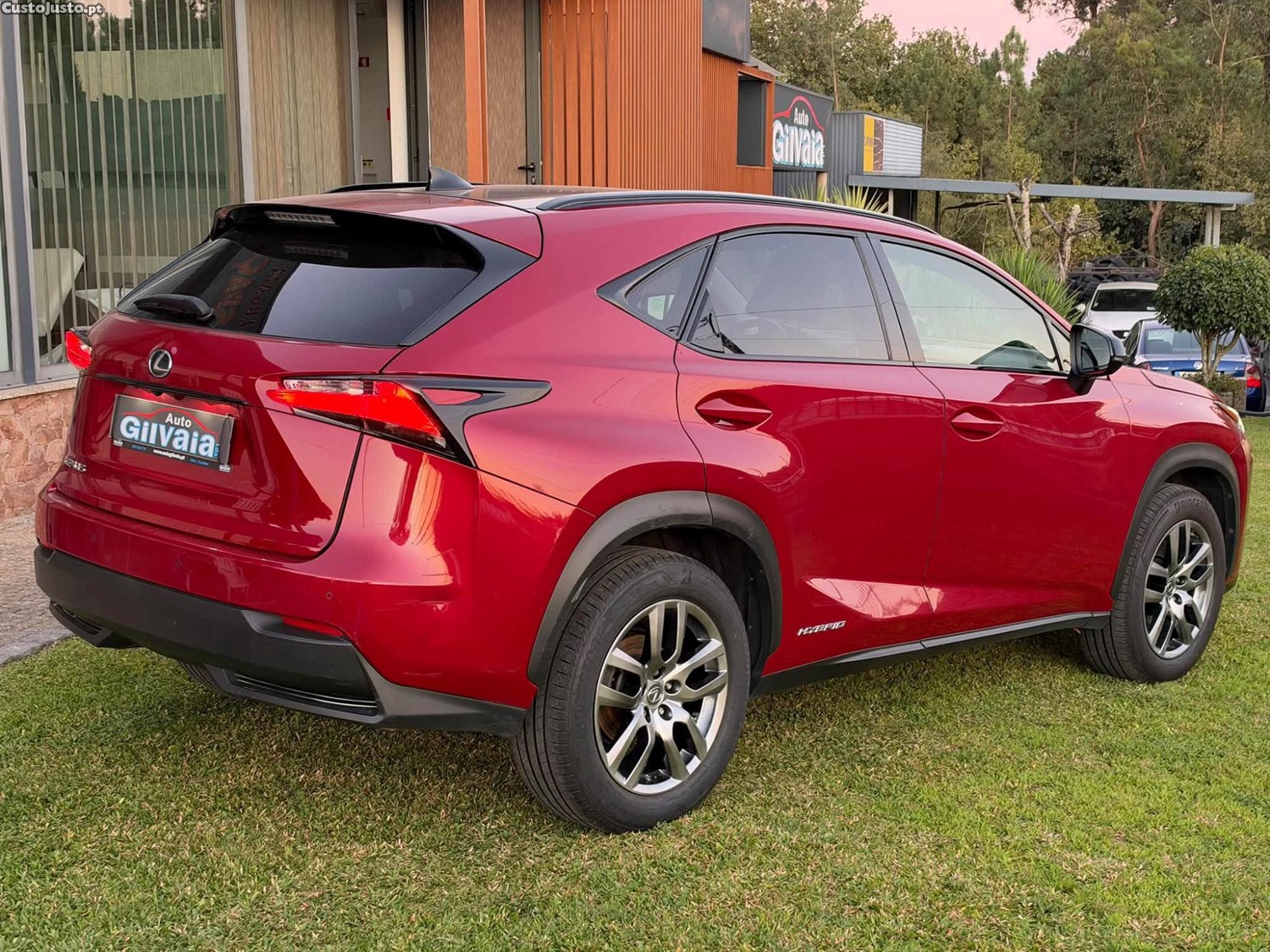 Lexus NX 300h - 17 — photo 4