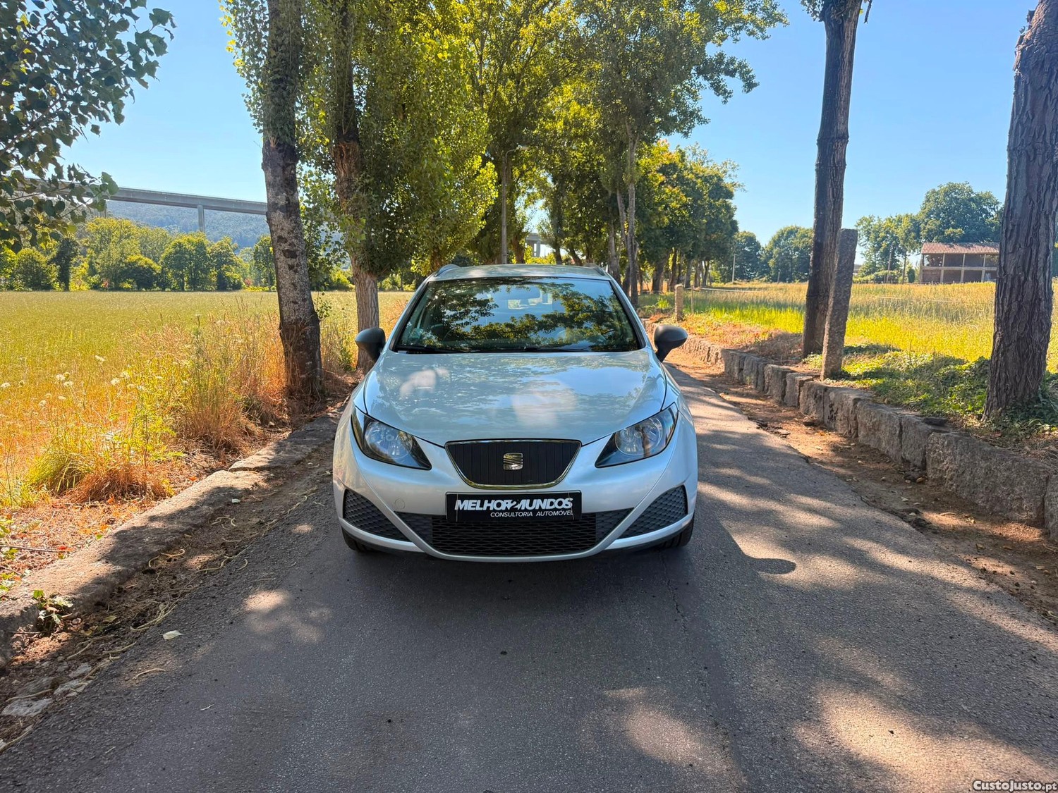 SEAT Ibiza 1.2 TDi Reference — fotografia 12
