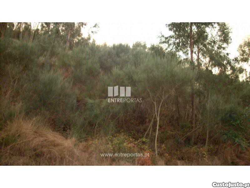 Land for sale in Baião, Portugal — €65,000