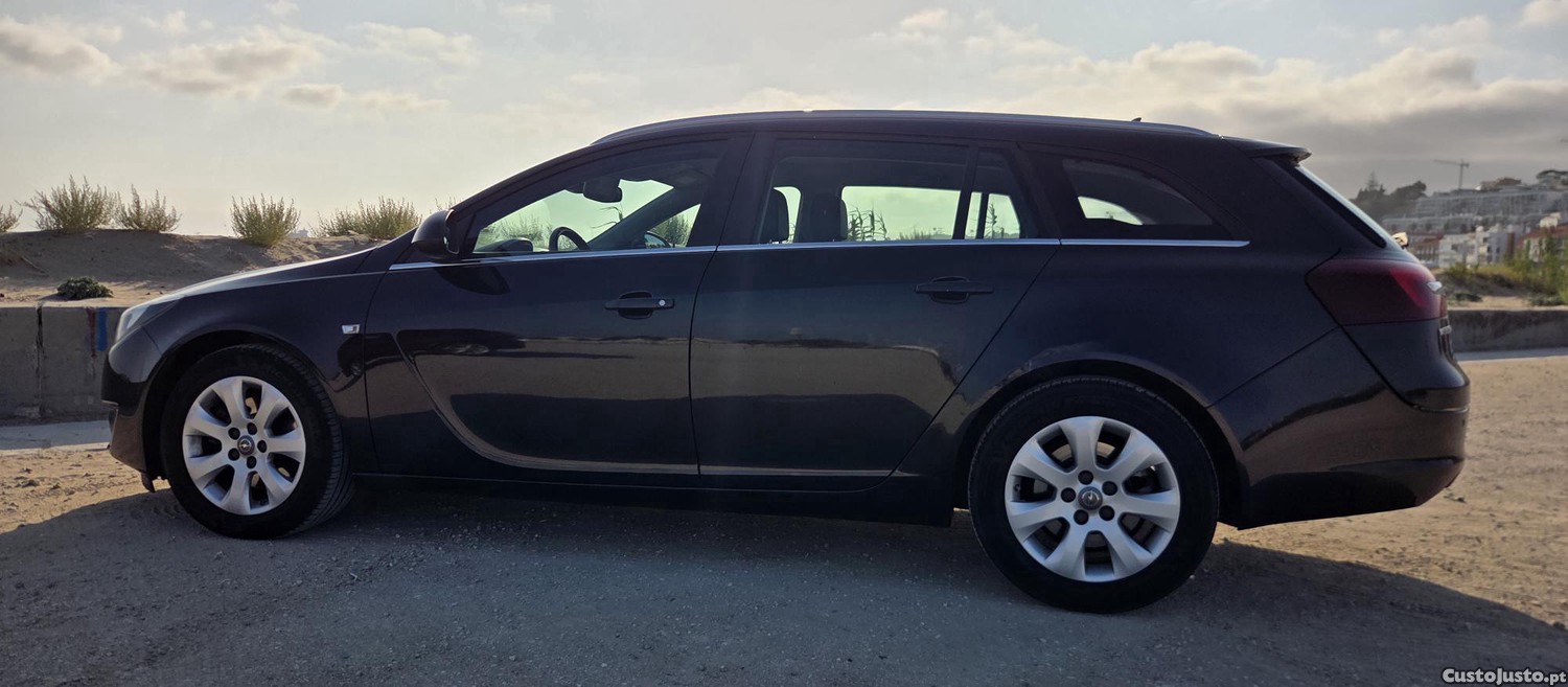 Opel Insignia Sports Tourer Sw - 15 — photo 3