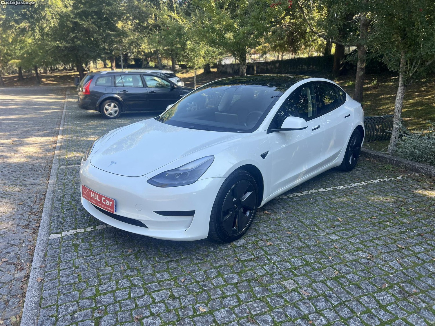 Tesla Model 3 Standard - 21 — photo 3
