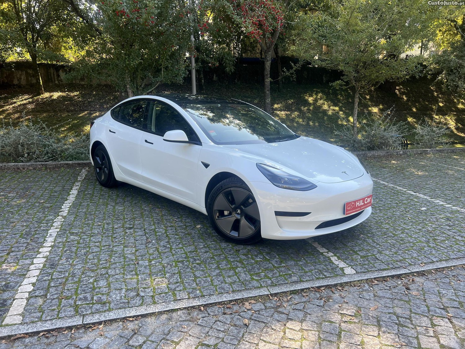Tesla Model 3 Standard - 21 — photo 2