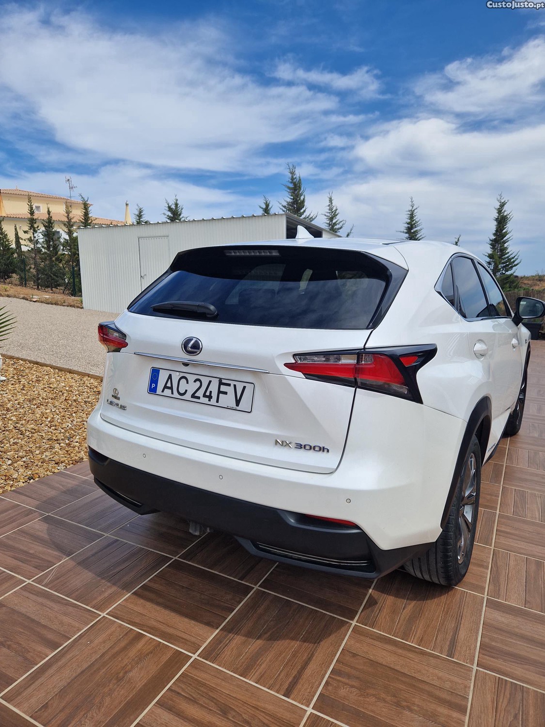 Lexus NX 300H F SPORT 4WD AUTO - 15 foto 2
