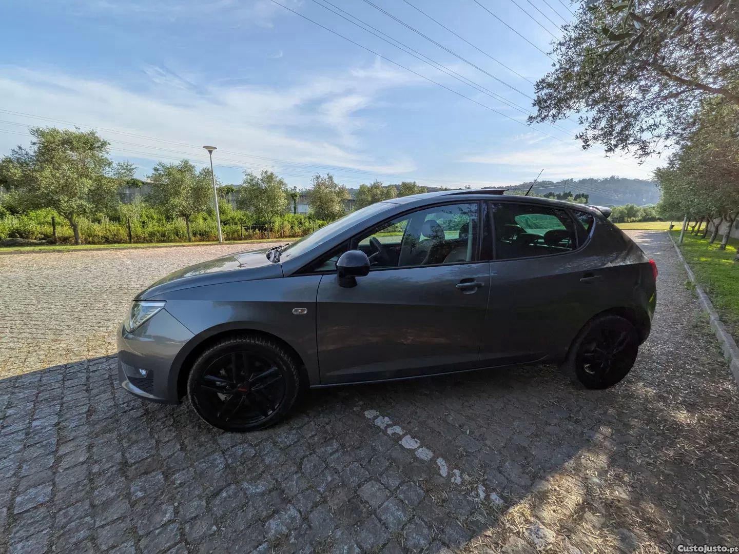 SEAT Ibiza 1.4 tdi fr — fotografia 10