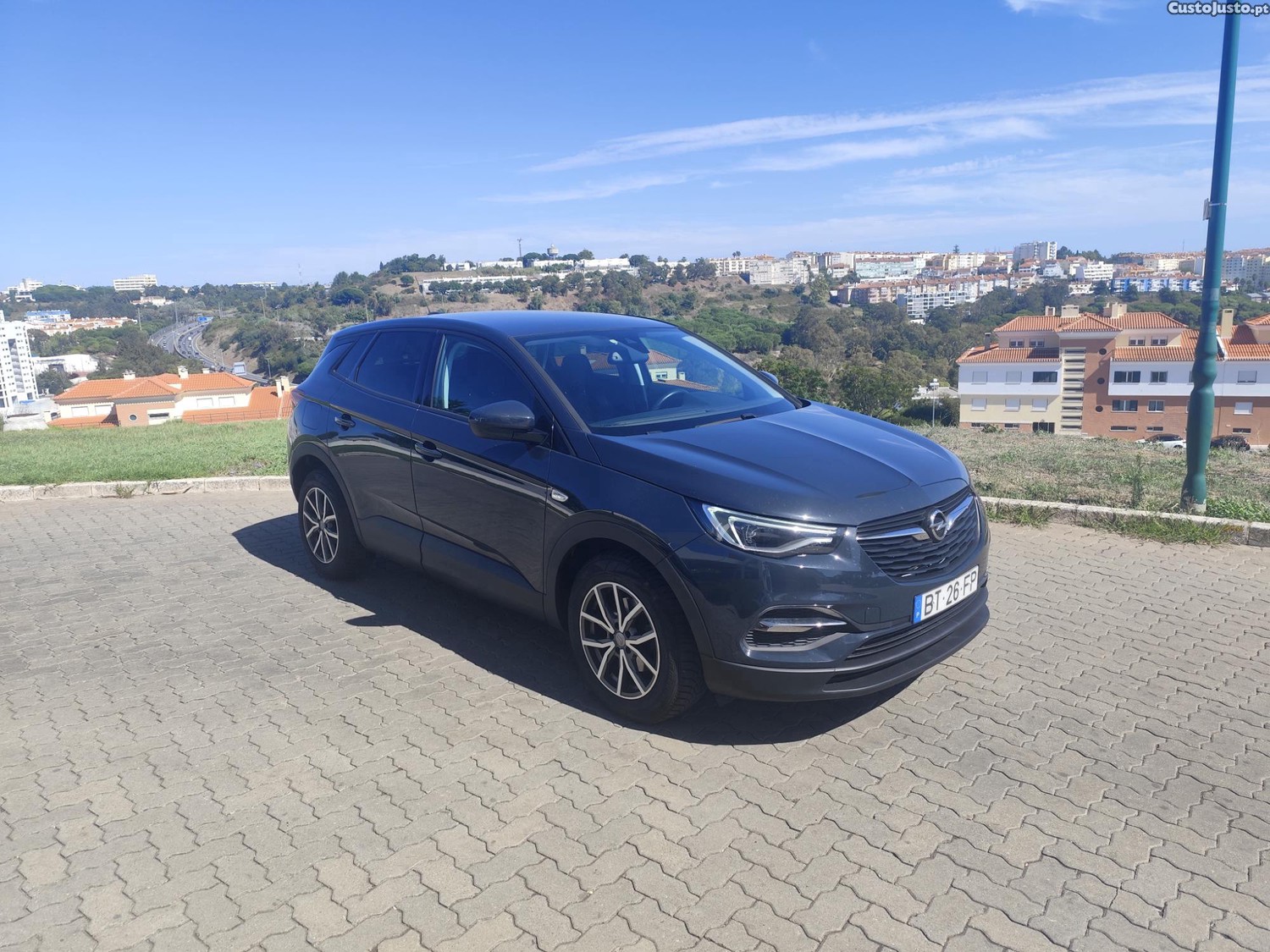 Opel Grandland X Suv - 18 — photo 5