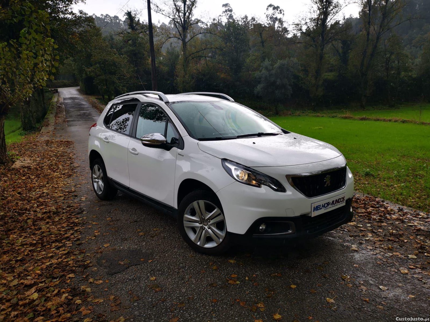 Peugeot 2008 1.6 BlueHDi Style — fotografia 12