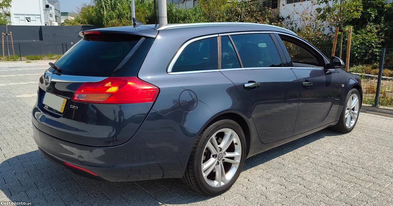 Opel Insignia 2.0 TDCi Sports Tourer - 10 — photo 3