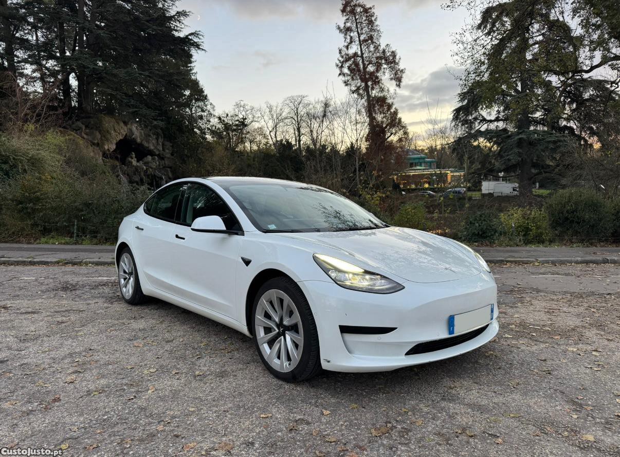 Tesla Model 3 Standard  range plus - 22 — photo 5
