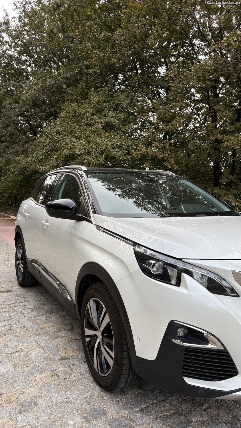 Peugeot 3008 Allure - 17 — photo 3