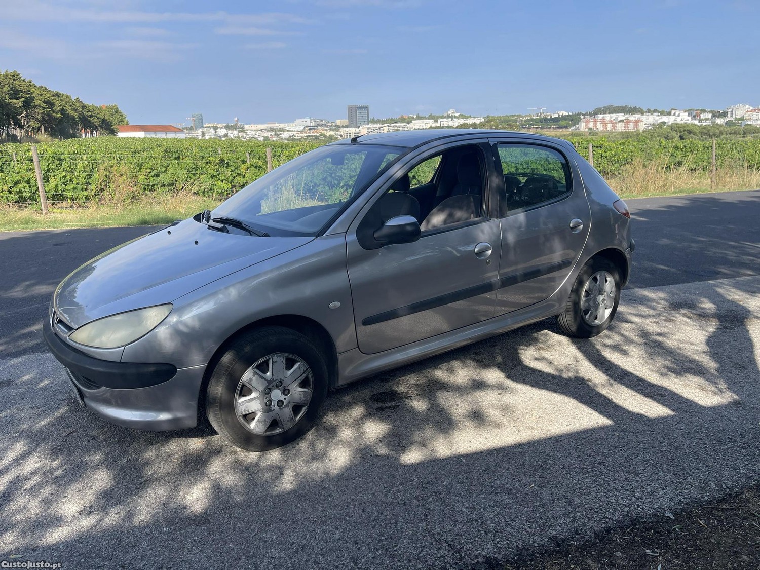 Peugeot 206 1.1 color line — fotografia 19