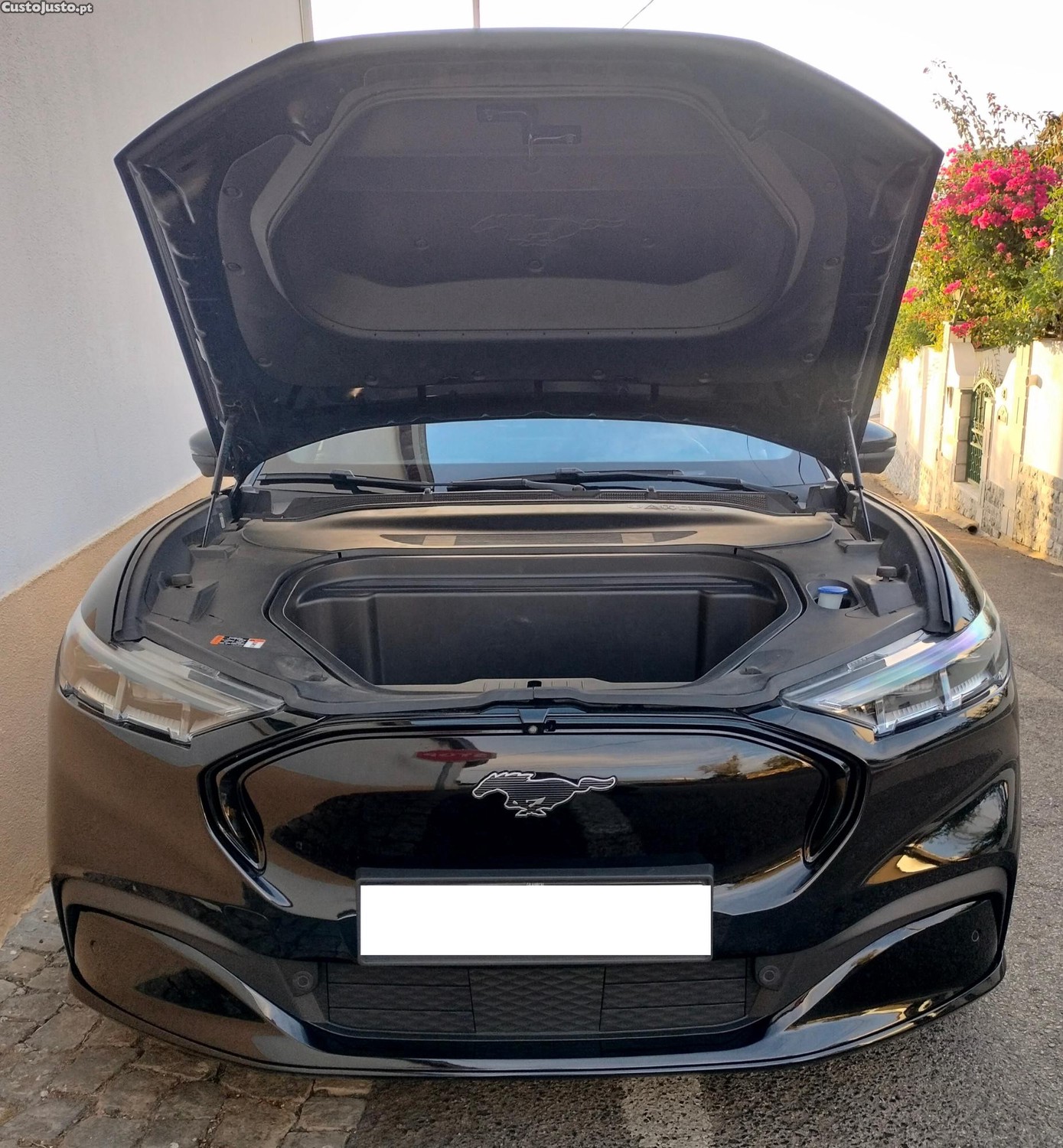 Ford Mustang Mach-E AWD - 22 — photo 2