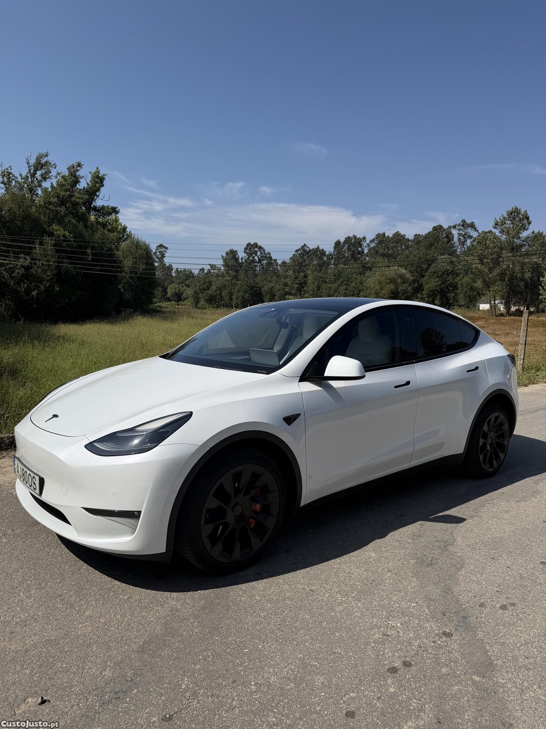 Tesla Model Y LR Dual Motor - pack performance — fotografia 12