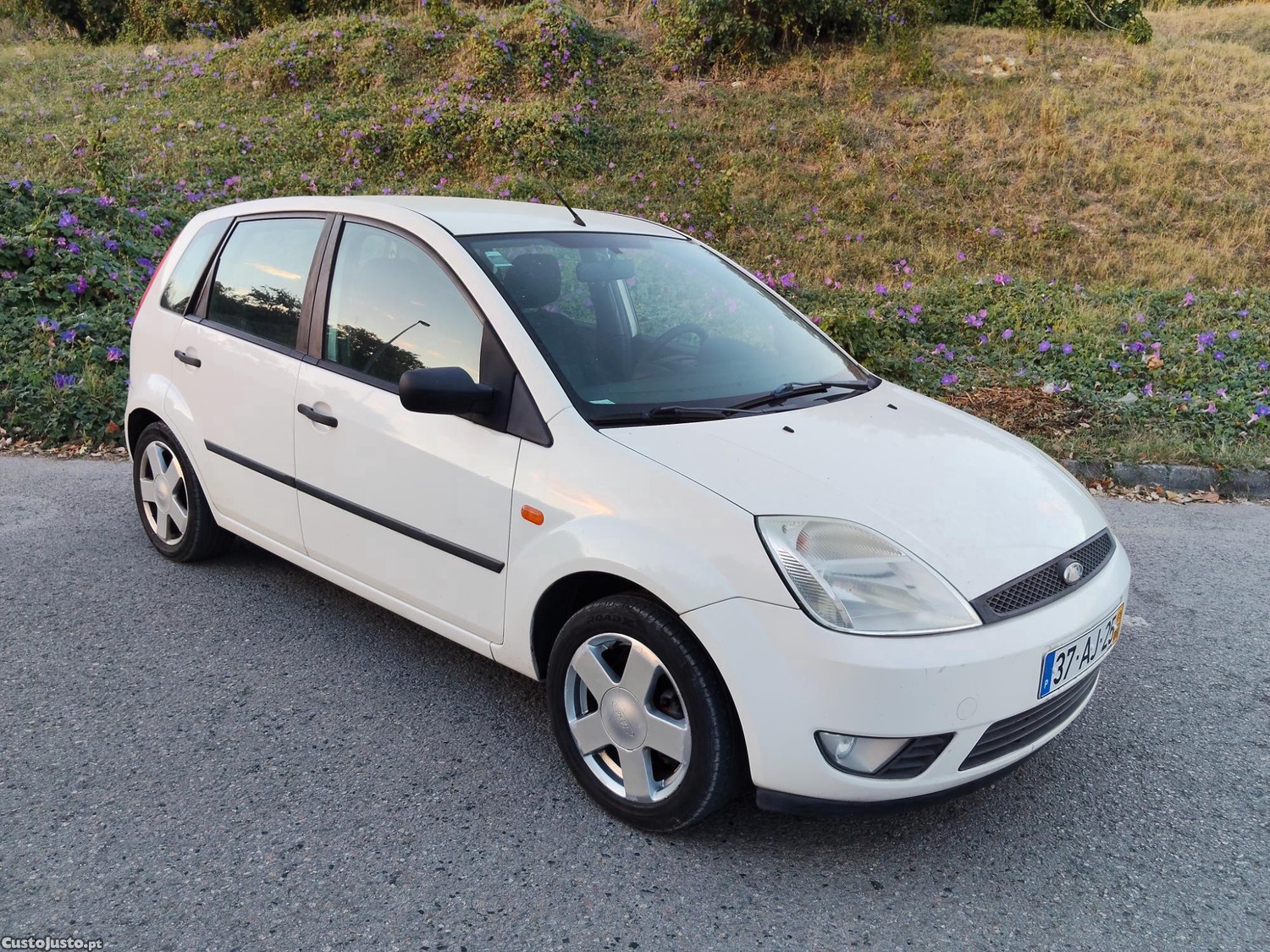 Ford Fiesta 1.4 tdci a/c - 05 — photo 2