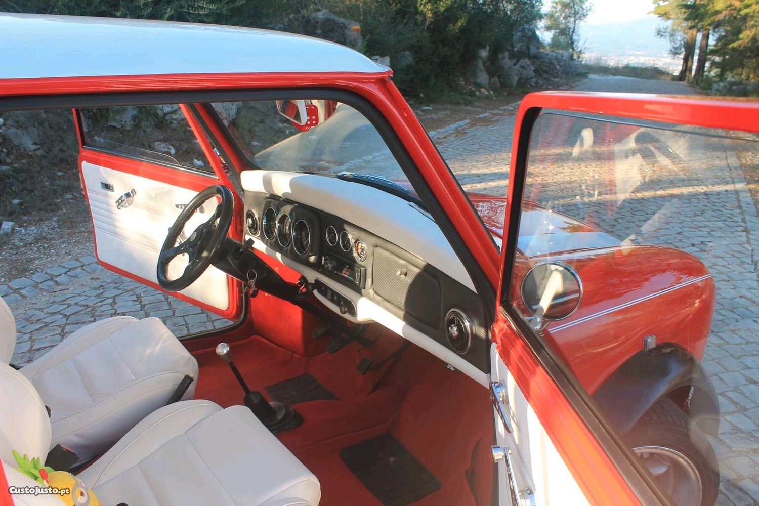 MINI 1000 1000 foto 3