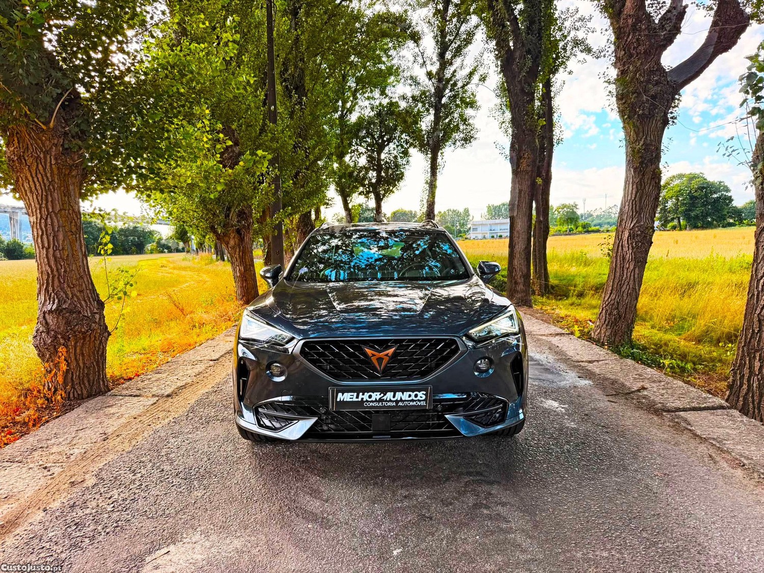 CUPRA Formentor 1.4 e-Hybrid Business Edition DSG — fotografia 16